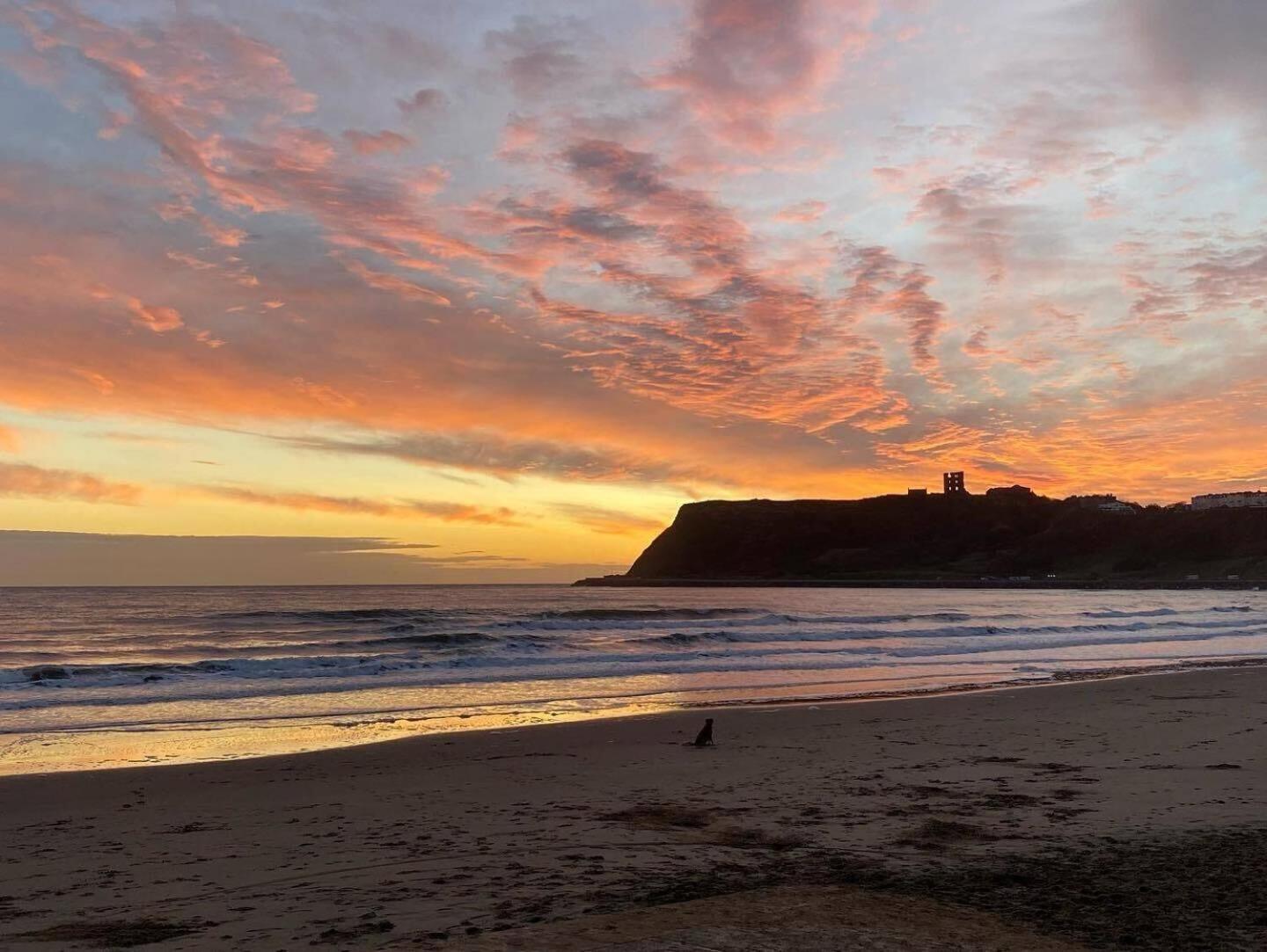 Ferienwohnung Seascape - Fantastic Location With Sea Views! Scarborough Exterior foto